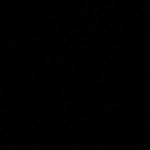 Meet your Posher, Desiree